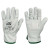 PILOT55TOP